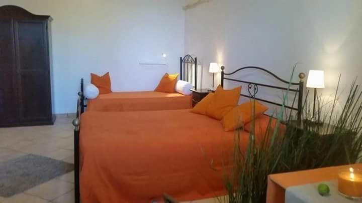 B&B Antonella Perito Екстериор снимка